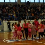 Pomladni prikaz dela pri AŠZ Olympia