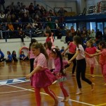 Pomladni prikaz dela pri AŠZ Olympia