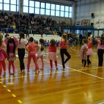 Pomladni prikaz dela pri AŠZ Olympia