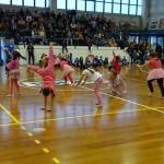 Pomladni prikaz dela pri AŠZ Olympia