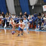 ZSŠDI 3. področno srečanje