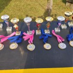 Gorica: ulični tek Vivicitta’