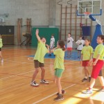 Na področnem srečanju v igri MDO v Romjanu slavje sovodenjske