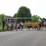 Gorica: ulični tek Vivicitta’