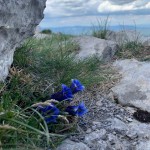 Planinski odsek SK Devin na Risnjak in Snježnik