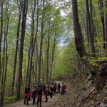 Planinski odsek SK Devin na Risnjak in Snježnik