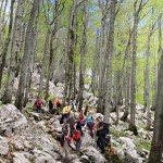 Planinski odsek SK Devin na Risnjak in Snježnik