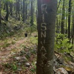 Planinski odsek SK Devin na Risnjak in Snježnik
