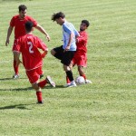 Nogomet 2. AL : Primorec - Campanelle