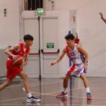 Košarka U 19 : Jadran - Falconstar