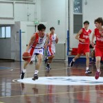 Košarka U 19 : Jadran - Falconstar