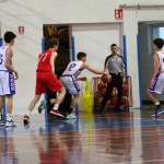 Košarka U 19 : Jadran - Falconstar