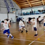 ZSŠDI igra med dvema ognjema