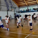 ZSŠDI igra med dvema ognjema