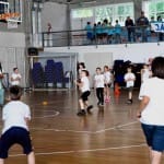 ZSŠDI igra med dvema ognjema