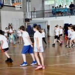 ZSŠDI igra med dvema ognjema