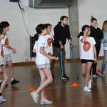 ZSŠDI igra med dvema ognjema