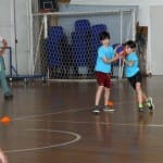 ZSŠDI igra med dvema ognjema