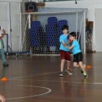 ZSŠDI igra med dvema ognjema