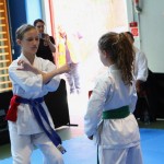 Karate : Pokal Zgonik