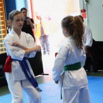 Karate : Pokal Zgonik