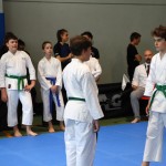 Karate : Pokal Zgonik