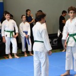 Karate : Pokal Zgonik