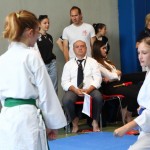 Karate : Pokal Zgonik
