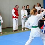 Karate : Pokal Zgonik