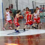 Minibasket : Trofeja ZSŠDI