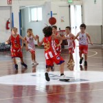 Minibasket : Trofeja ZSŠDI