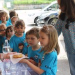 KK Bor šport in Šola Lipko