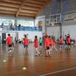 ZSŠDI igra med dvema ognjema