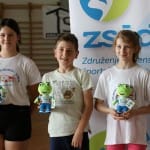 ZSŠDI igra med dvema ognjema