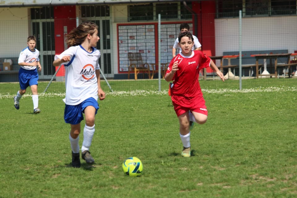 U13: Bisiaca - Sovodnje