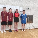 deželno prvenstvo nam tenis