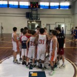 young adriatic league