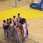 young adriatic league polet kontovel