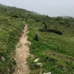 Planinski odsek AŠD Mladina na krožni poti v Karnijske Alpe