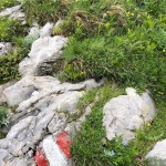 Planinski odsek AŠD Mladina na krožni poti v Karnijske Alpe
