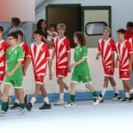 Slovenska olimpijska bakla