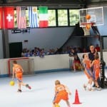 Slovenska olimpijska bakla