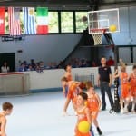 Slovenska olimpijska bakla