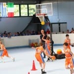 Slovenska olimpijska bakla