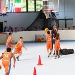 Slovenska olimpijska bakla