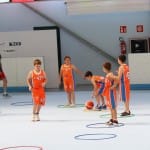Slovenska olimpijska bakla