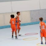 Slovenska olimpijska bakla