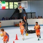 Slovenska olimpijska bakla
