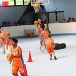 Slovenska olimpijska bakla