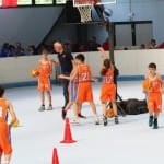 Slovenska olimpijska bakla